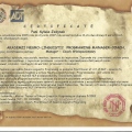 Powiększ obraz: certificate 2