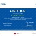 Powiększ obraz: certificate 6