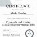 Powiększ obraz: certificate 6