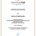 Powiększ obraz: certificate 1