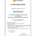 Powiększ obraz: certificate 3