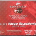 Powiększ obraz: certificate 1
