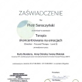 Powiększ obraz: certificate 3