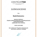 Powiększ obraz: certificate 2