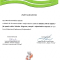 Powiększ obraz: certificate 6