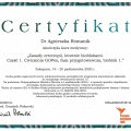 Powiększ obraz: certificate 4