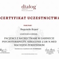 Powiększ obraz: certificate 11