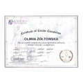 Powiększ obraz: certificate 8