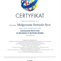 Powiększ obraz: certificate 1