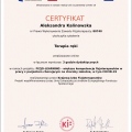 Powiększ obraz: certificate 16