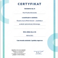 Powiększ obraz: certificate 2