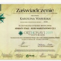 Powiększ obraz: certificate 1