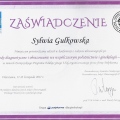Powiększ obraz: certificate 10