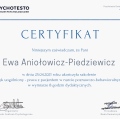 Powiększ obraz: certificate 14