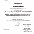 Powiększ obraz: certificate 5