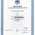 Powiększ obraz: certificate 13