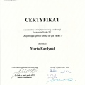 Powiększ obraz: certificate 19