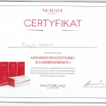 Powiększ obraz: certificate 7