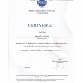 Powiększ obraz: certificate 9