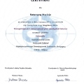 Powiększ obraz: certificate 5