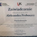 Powiększ obraz: certificate 6