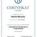 Powiększ obraz: certificate 7