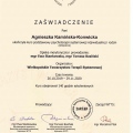 Powiększ obraz: certificate 1
