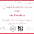 Powiększ obraz: certificate 2