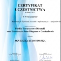 Powiększ obraz: certificate 24