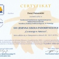 Powiększ obraz: certificate 6