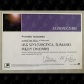 Powiększ obraz: certificate 1
