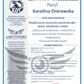 Powiększ obraz: certificate 4