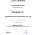Powiększ obraz: certificate 16