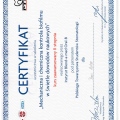 Powiększ obraz: certificate 11