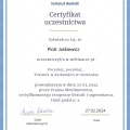 Powiększ obraz: certificate 6