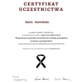 Powiększ obraz: certificate 24