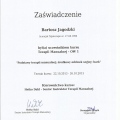 Powiększ obraz: certificate 9