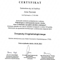 Powiększ obraz: certificate 9