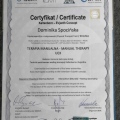 Powiększ obraz: certificate 4