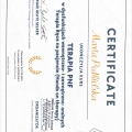 Powiększ obraz: certificate 2