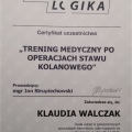 Powiększ obraz: certificate 4