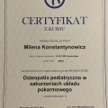 Powiększ obraz: certificate 3