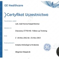 Powiększ obraz: certificate 12