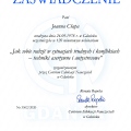 Powiększ obraz: certificate 15