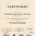Powiększ obraz: certificate 8