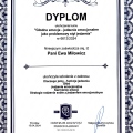 Powiększ obraz: certificate 11