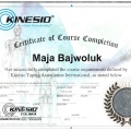 Powiększ obraz: certificate 5