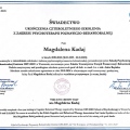 Powiększ obraz: certificate 9