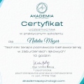 Powiększ obraz: certificate 2