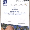 Powiększ obraz: certificate 2